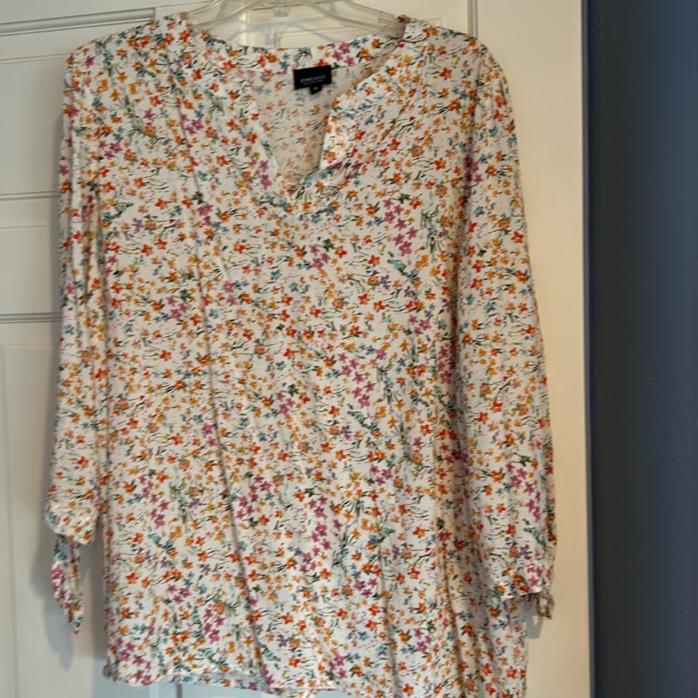 XL Jones and company tunic top